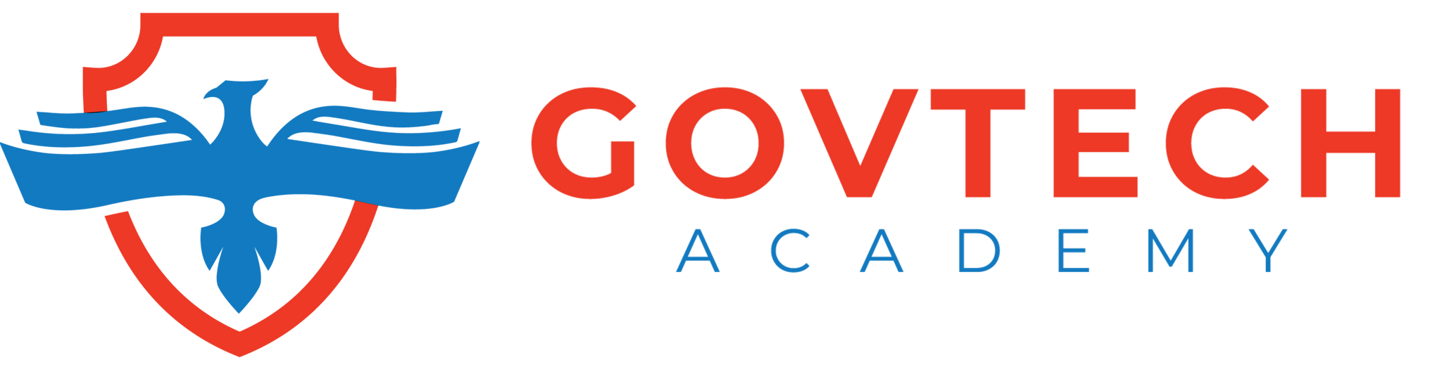 GovTech Academy: Hybrid Core Intensive Program